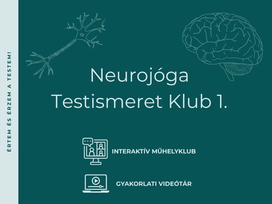 Testismeret Klub 1. (Interaktív műhelyalkalmak, digitális anyagok és videótár)